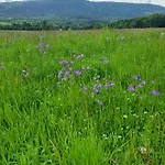 Reset W Gorach Ponikwa (Lower Silesia)