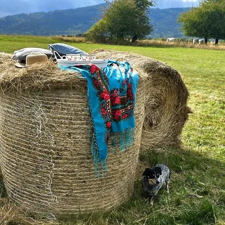 샬레 Reset W Gorach