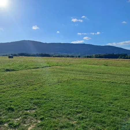 샬레 Reset W Gorach *