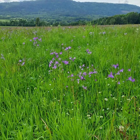 Reset W Gorach Ponikwa (Lower Silesia)