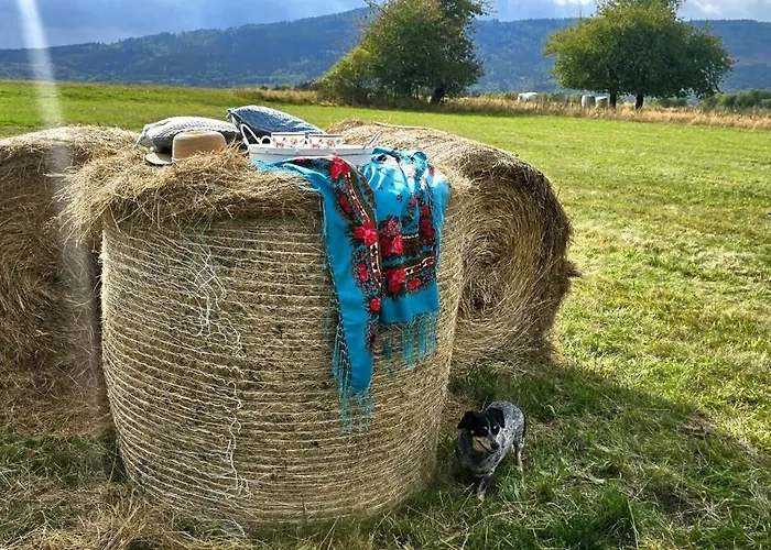 Alpehytte Reset W Gorach