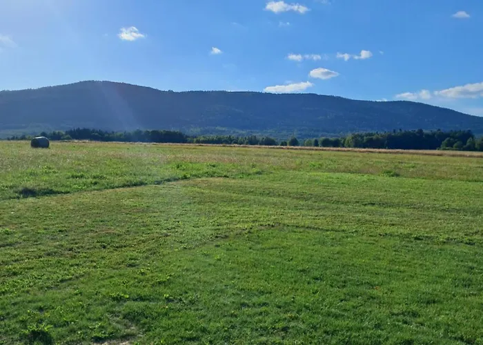 Alpehytte Reset W Gorach *