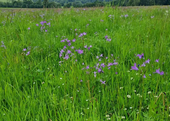 Reset W Gorach Ponikwa (Lower Silesia)