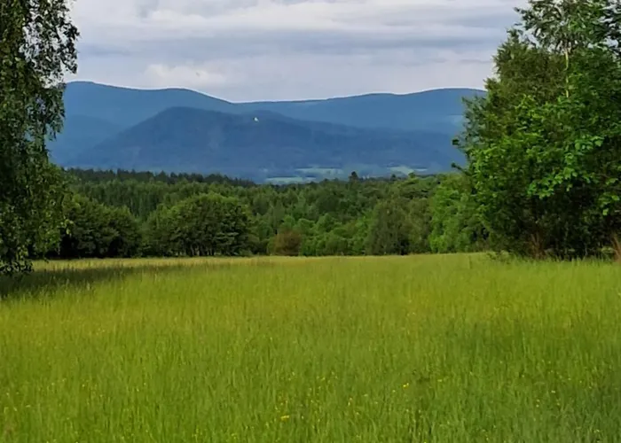 Reset W Gorach Alpehytte